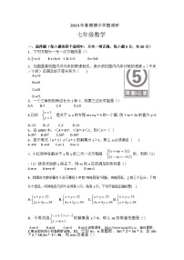 河南省南阳市桐柏县2023-2024学年七年级下学期5月期中数学试题