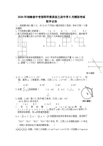 2024年河南省信阳市淮滨县王店乡初级中学中考模拟考试数学试卷