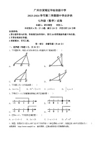 广东省广州市黄埔区华实初级中学2023-2024学年七年级下学期期中数学试题(无答案)