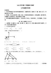 广东省广州市培英中学2023-2024学年七年级下学期期中数学试题(无答案)