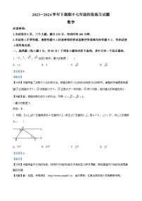 河南省周口市西华县2023-2024学年七年级下学期4月期中数学试题
