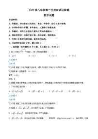 湖南省长沙市湖南师大附中教育集团2023-2024学年八年级下学期期中数学试题