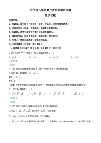 湖南省长沙市湖南师大附中教育集团2023-2024学年八年级下学期期中数学试题