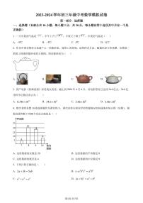 2024年广东省深圳市罗湖外语实验学校中考三模数学试题（原卷版+含解析）