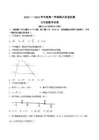 河北省秦皇岛市抚宁区2022-2023年学年七年级下学期期末质量检测数学试卷