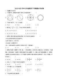 2022-2023学年（华东师大版）七年级下学期期末考试数学试卷