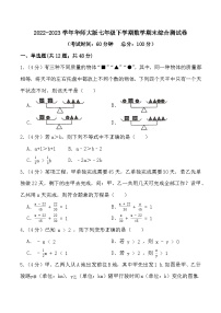 2022-2023学年（华东师大版）七年级下学期期末综合测试数学试卷