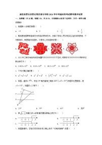 湖北省黄石市黄石港区部分学校2024年中考适应性考试联考数学试卷