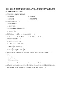 2021-2022学年河南省洛阳市嵩县八年级上学期期末数学试题及答案