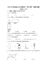 2024年安徽省九年级数学“县二模”调研试题（含答案）