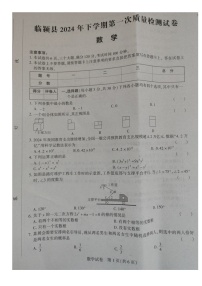 2024年河南省漯河市临颍县中考一模数学试题