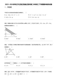 2023_2024学年辽宁辽阳辽阳县辽阳市第二中学初二下学期期中数学试卷