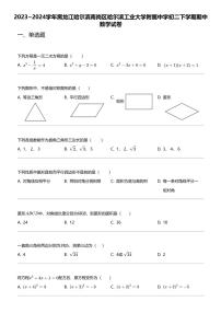 2023_2024学年黑龙江哈尔滨南岗区哈尔滨工业大学附属中学初二下学期期中数学试卷