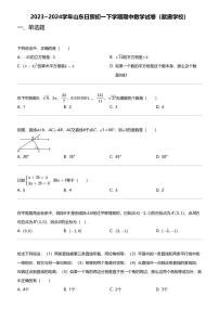 2023_2024学年山东日照初一下学期期中数学试卷（献唐学校）