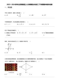 2023_2024学年北京朝阳区人大附朝阳分校初二下学期期中数学试卷