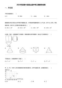 2024年安徽六安霍山县中考三模数学试卷