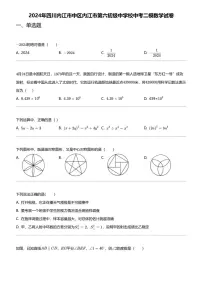 2024年四川内江市中区内江市第六初级中学校中考二模数学试卷