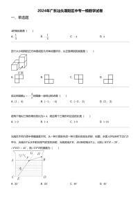 2024年广东汕头潮阳区中考一模数学试卷