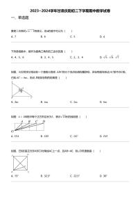 2023_2024学年甘肃庆阳初二下学期期中数学试卷