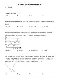 2024年江苏苏州中考一模数学试卷
