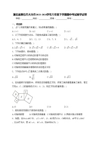 湖北省黄石市大冶市2023-2024学年八年级下学期期中考试数学试卷(含答案)