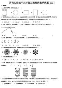 2024年山东省济南实验初级中学九年级中考三模测试数学试题