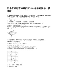 河北省邯郸市峰峰矿区2024年中考数学一模试题