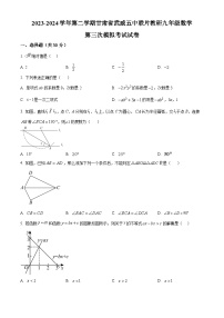 2024年甘肃省武威市凉州区武威五中联片教研九年级中考三模数学试题（原卷版+解析版）