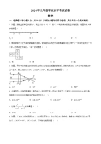 2024年河南省商丘市夏邑县九年级中考一模多校联考数学试题（原卷版+解析版）