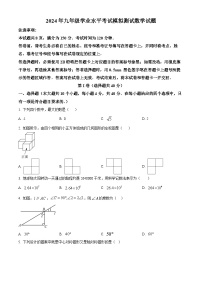 2024年山东省济南市天桥区中考二模数学试题（原卷版+解析版）