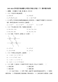 2023-2024学年四川省成都七中育才学校七年级（下）期中数学试卷