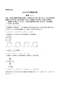 河南省驻马店市遂平县2024届九年级下学期中考一模数学试卷(含解析)