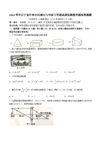 辽宁省丹东市凤城市2024届九年级下学期成绩监测（一模）数学试卷(含答案)