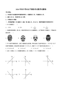 新疆喀什地区2024届九年级下学期中考一模数学试卷(含解析)