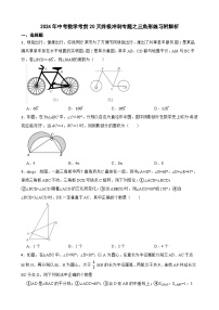 2024年中考数学考前20天终极冲刺专题之三角形练习附解析