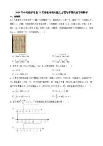 2024年中考数学考前20天终极冲刺专题之方程与不等式练习附解析