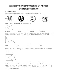 甘肃省武威市凉州区武威第二十四中学教研联片期中考试2023-2024学年七年级下学期5月期中数学试题