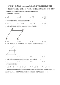 广西壮族自治区南宁市武鸣区2023-2024学年八年级下学期期中数学试题（原卷版+解析版）