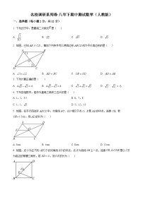 吉林省松原市前郭县乡镇联考2023-2024学年八年级下学期期中数学试题（原卷版+解析版）