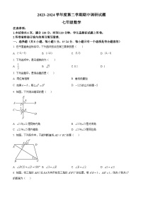 山东省德州市宁津县 第三实验中学、第六实验中学 2023-2024学年七年级下学期5月期中数学试题