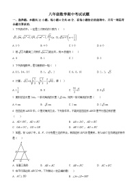 山东省德州市宁津县第四实验中学、第五实验中学2023-2024学年八年级下学期5月期中数学试题