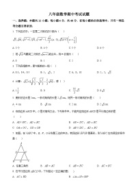 山东省德州市齐河县表白寺镇中学2023-2024学年八年级下学期期中数学试题（原卷版+解析版）