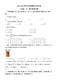 山东省潍坊市昌乐县2023-2024学年八年级下学期期中数学试题（原卷版+解析版）