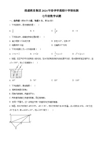 四川省自贡市高新区绿盛教育集团六校2023-2024学年七年级下学期期中联考数学试题