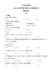 四川省广安市 广安友实学校2023-2024学年七年级下学期期中数学试题