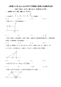 云南省玉溪市玉溪第八中学2023-2024学年七年级下学期期中数学试题（原卷版+解析版）