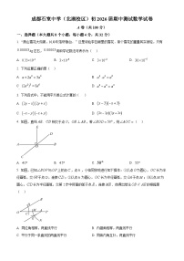 四川省成都市成都市石室中学2023-2024学年七年级下学期期中数学试题（原卷版+解析版）