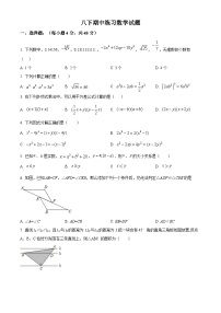 四川省眉山市东坡区苏洵中学办学共同体2023-2024学年八年级下学期4月期中考试数学试题