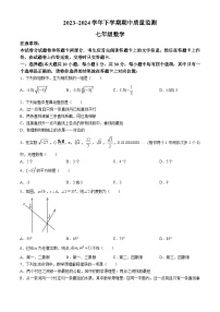 02，河南省许昌市长葛市2023-2024学年七年级下学期期中数学试题