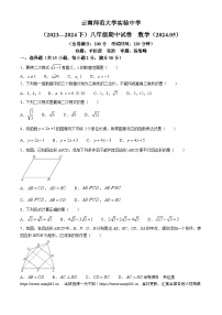 09，云南省昆明市五华区云南师范大学实验中学2023-2024学年八年级下学期期中数学试题